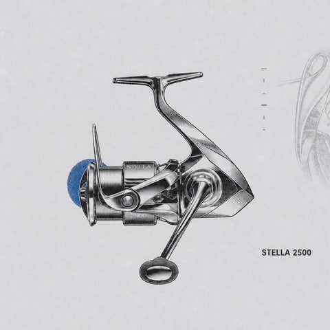 Spinning Reels