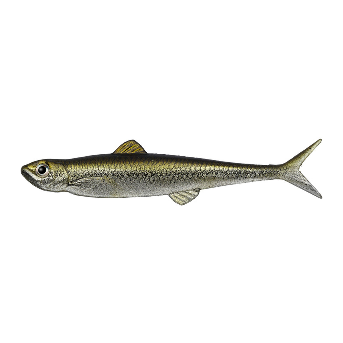 Evergreen Last Ace 110F in #117 Motsugo (Minnow) — official Evergreen product photo