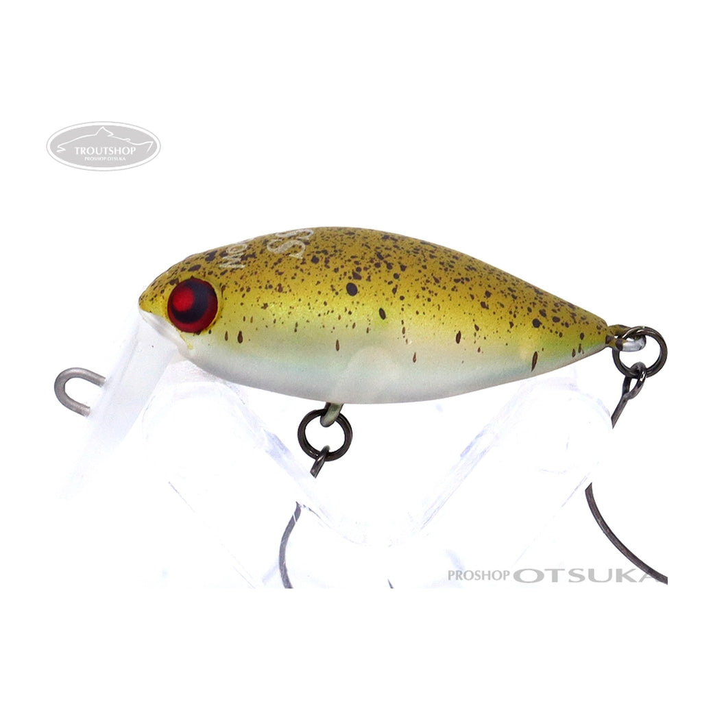#33 RC Potato Head