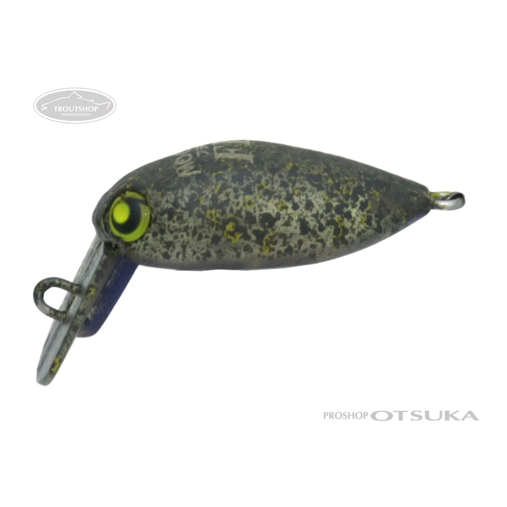 #38 FOCUS Olive