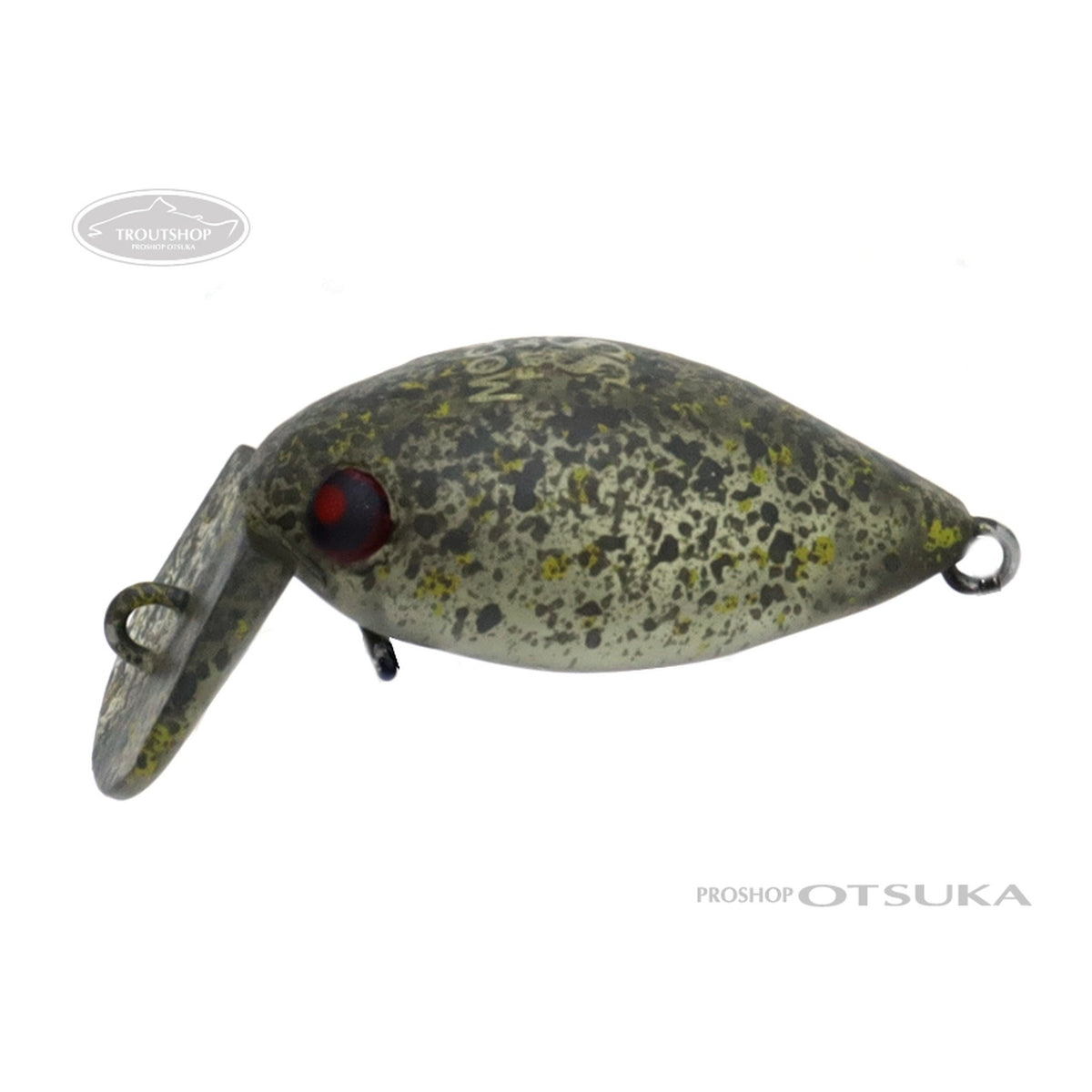 #38 FOCUS Olive