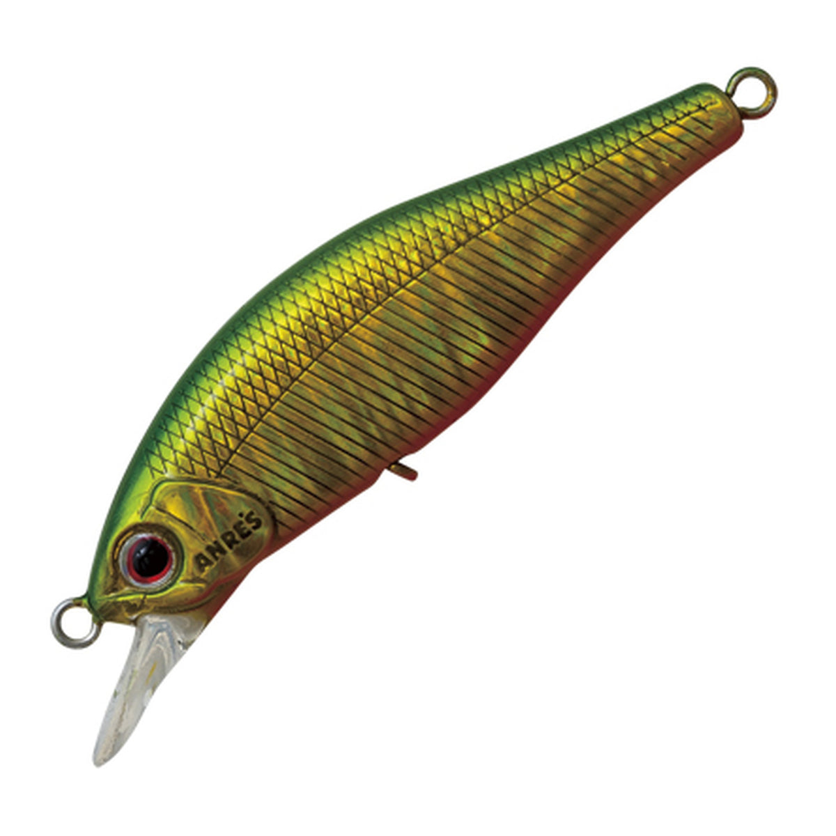 Palms Alexandra 43HW - Abalone Aquamarine A-79