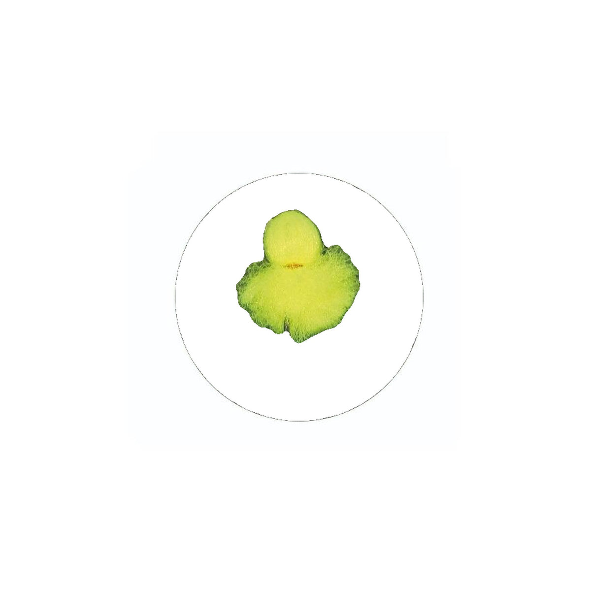 #12 Chartreuse