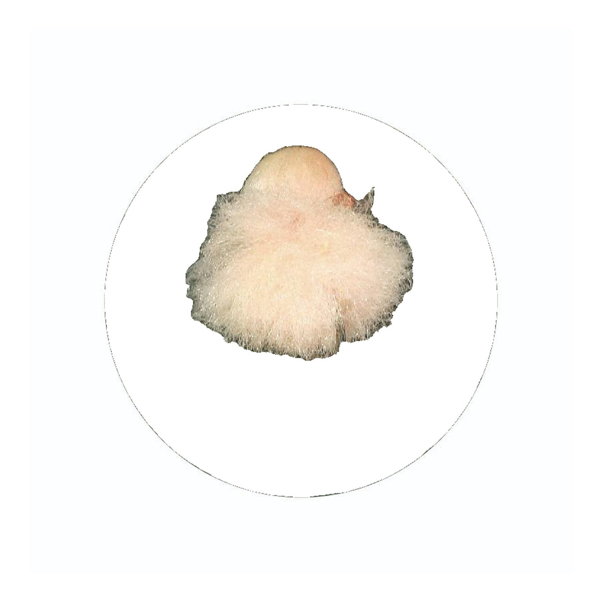 #06 Skin Tone