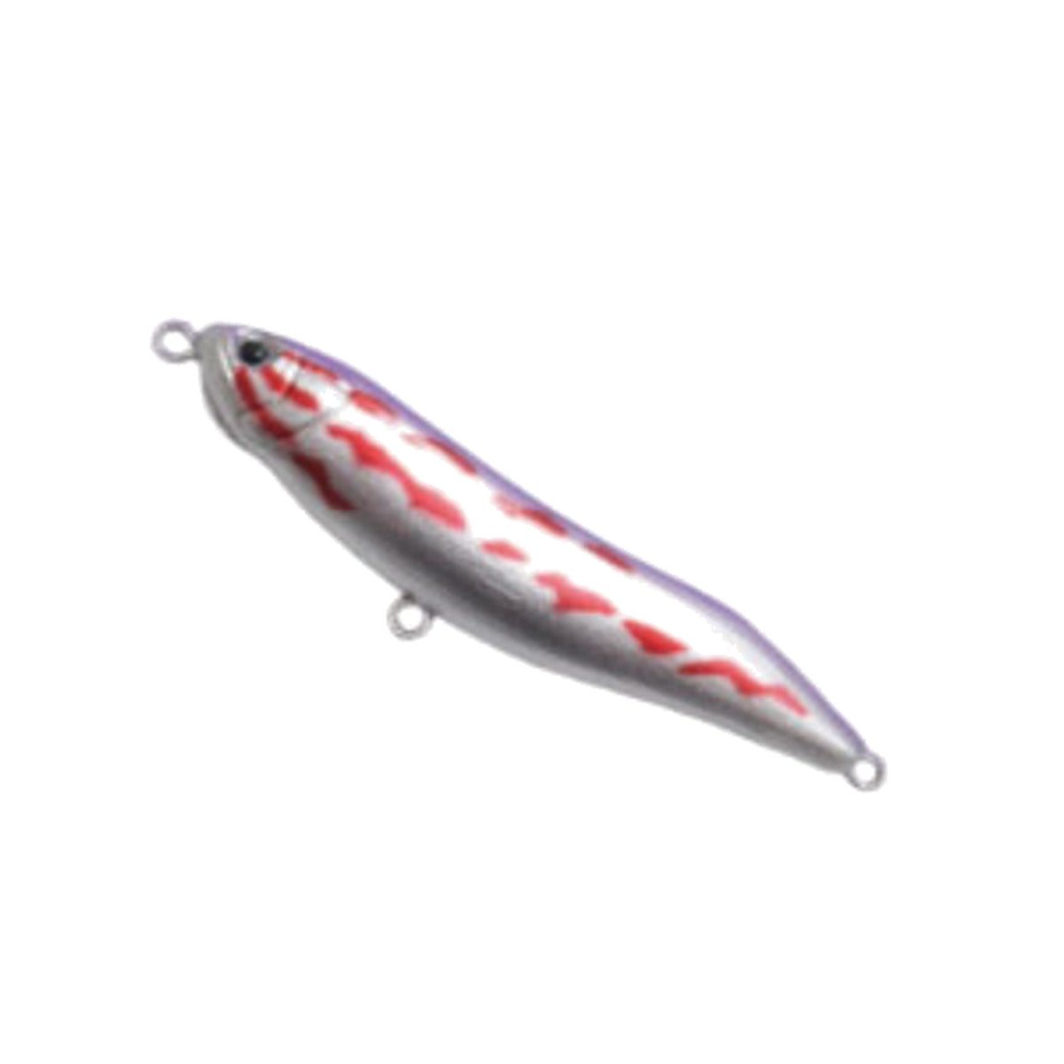 Spawning Mullet