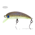 Rodio Craft RC Wow 37 (HF) #1 S.M VI