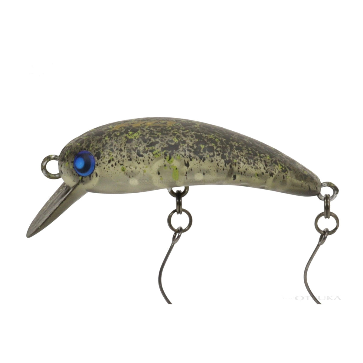 Rodio Craft RC Wow 37 (HF) #23 FOCUS Olive