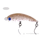 Rodio Craft RC Wow 37 (HF) #7 16 Nobu