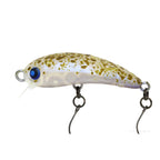 Rodio Craft RC Wow 37 (HF) #16 21 Nobu