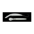 Nories Pelican Minnow 50F — 435H セミホロクリア — NR-PM50F-435H