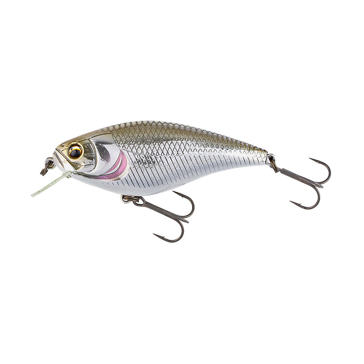Imakatsu GekiasaShad — #1028 シルバーシャッド — IMK-GAS-1028