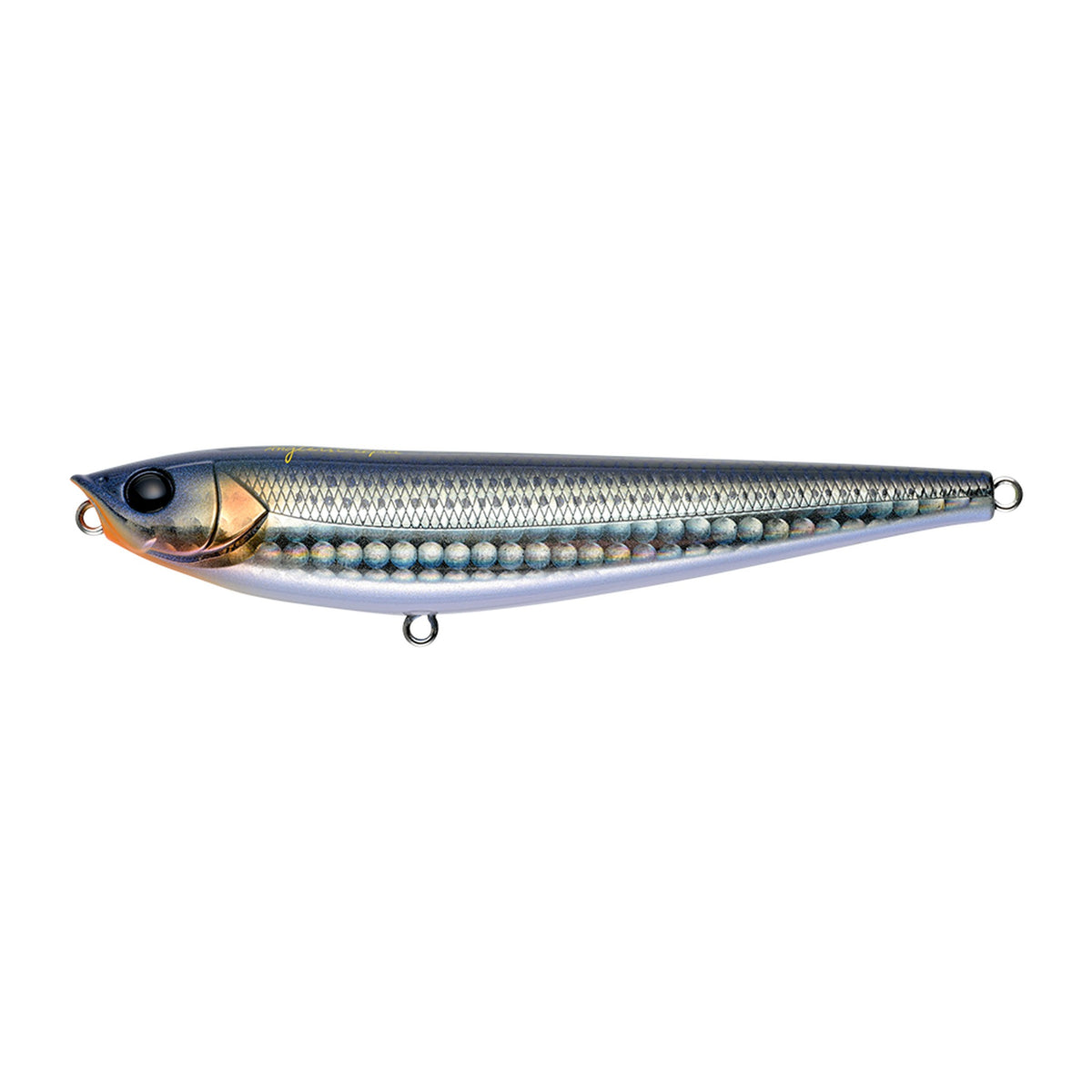 Apia Argo 105 in #02 Bora-yan (Mullet) — official Apia product photo
