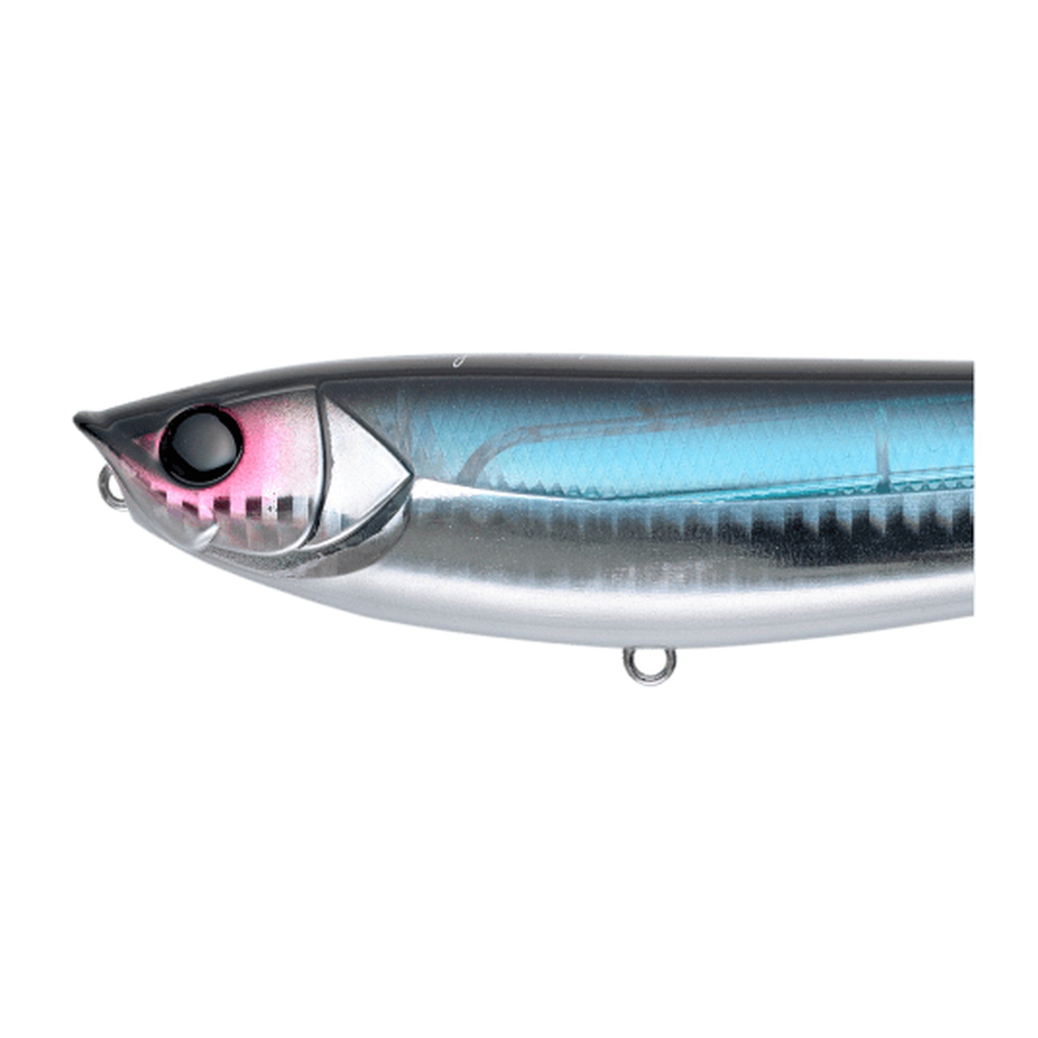 Apia Argo 160 — official Apia product photo