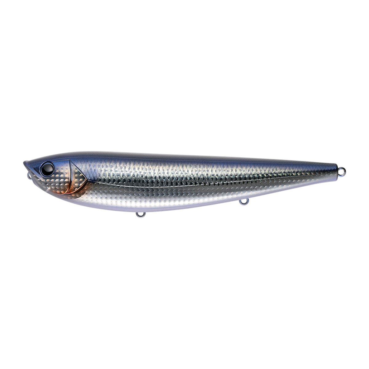 Apia Argo 200 in 02 Gin-Gin Konoshiro (Silver Gizzard Shad) — official Apia product photo