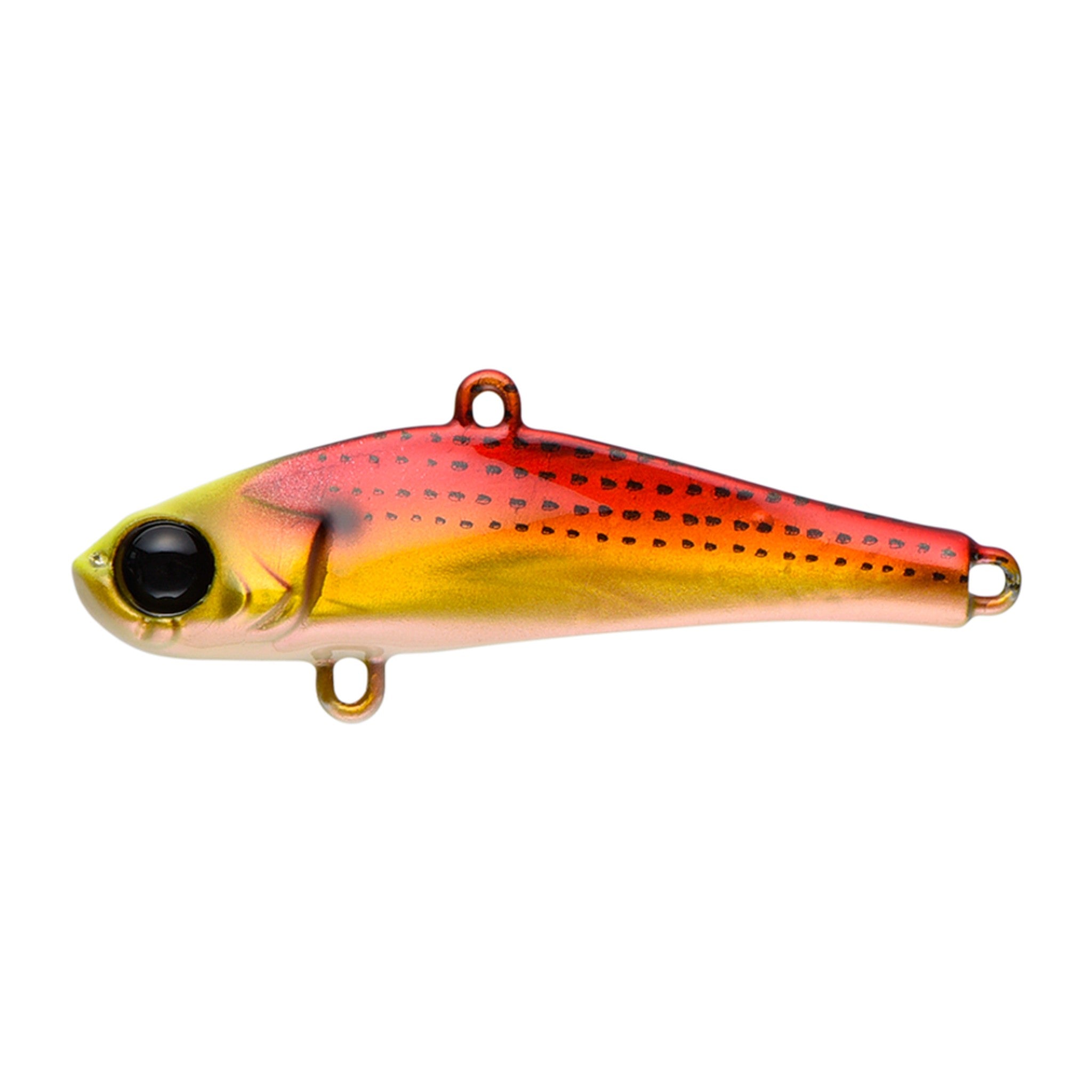 Apia Bit-V 12 in #16 Red Gold Konoshiro — official Apia product photo