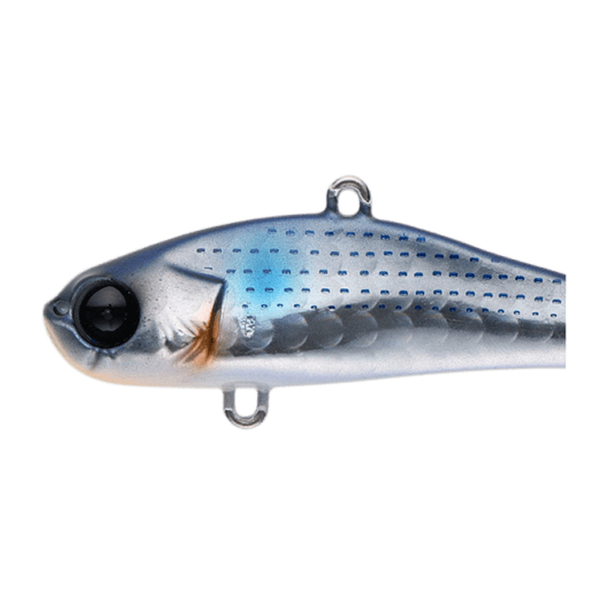 Apia Bit-V 26 — official Apia product photo