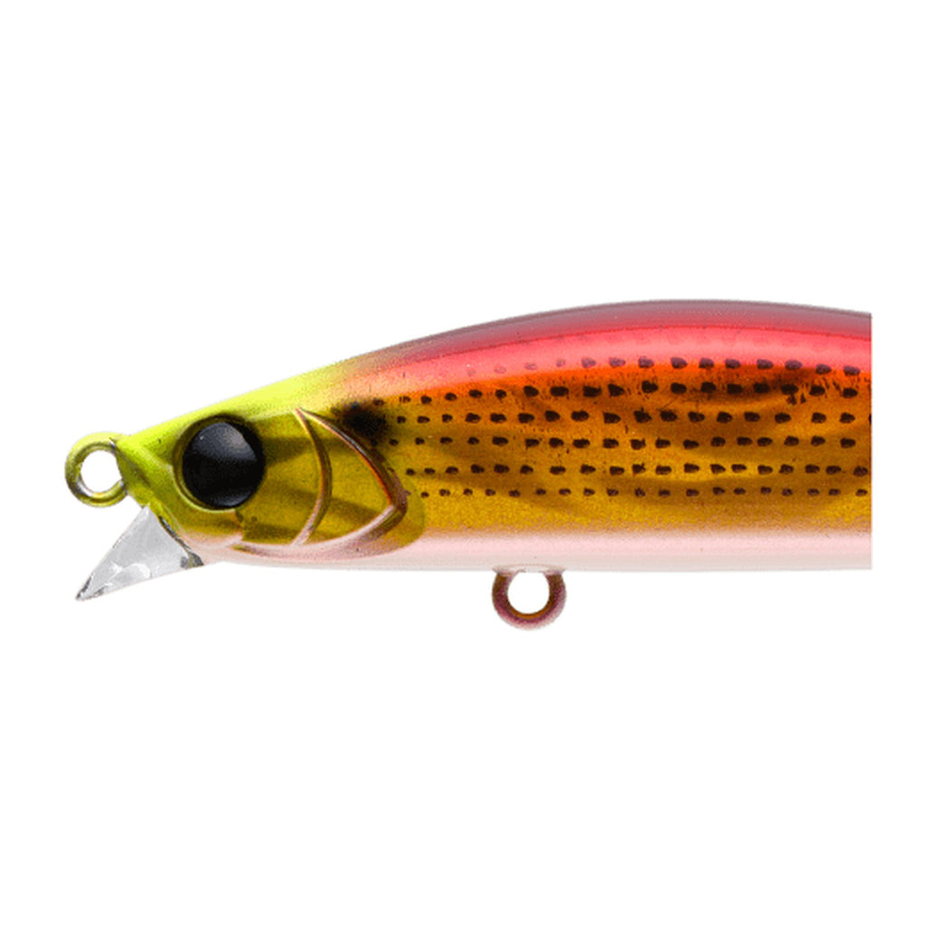 Apia Dover 70F Shallow Runner — official Apia product photo