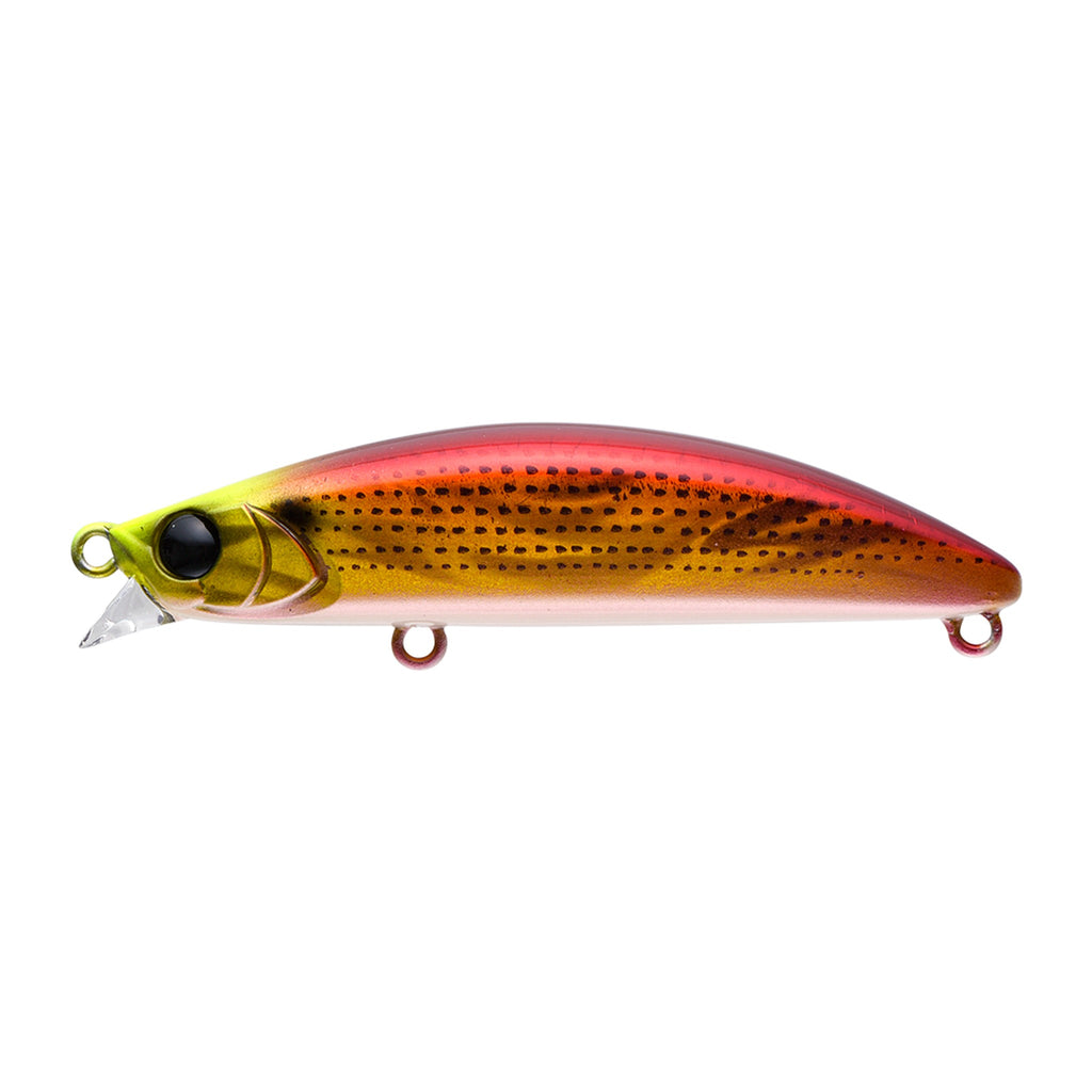Apia Dover 70 Slow Sinking in #01 Red Gold Konoshiro — official Apia product photo