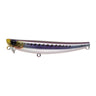#4 Sardine