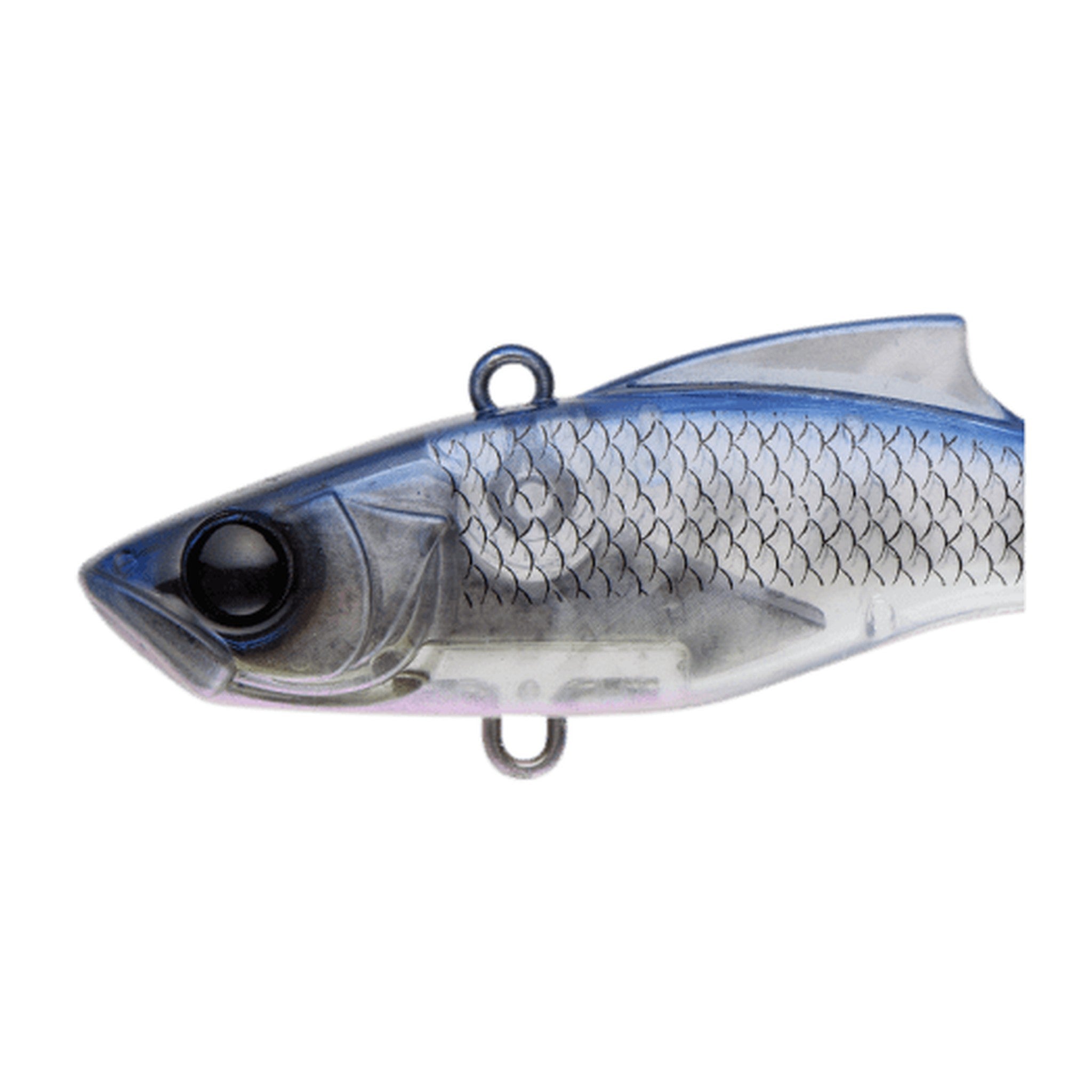 Apia Luck-V Ghost — official Apia product photo