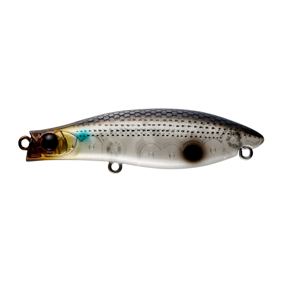 Apia Punch Line Curvy 70SS in #10 Clear Bora Ika — official Apia product photo