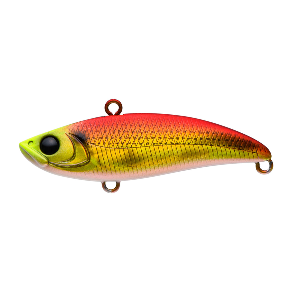 Apia Uprizing 59 in #01 Red Gold Konoshiro (Uchida SP) — official Apia product photo
