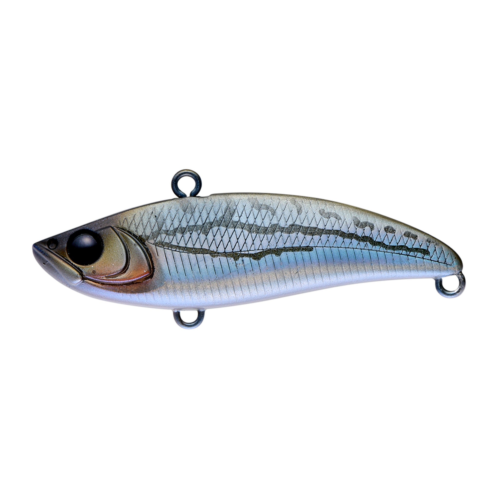 Apia Uprizing 59 in #09 Multi Fish — official Apia product photo