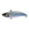 #09 Multi Fish
