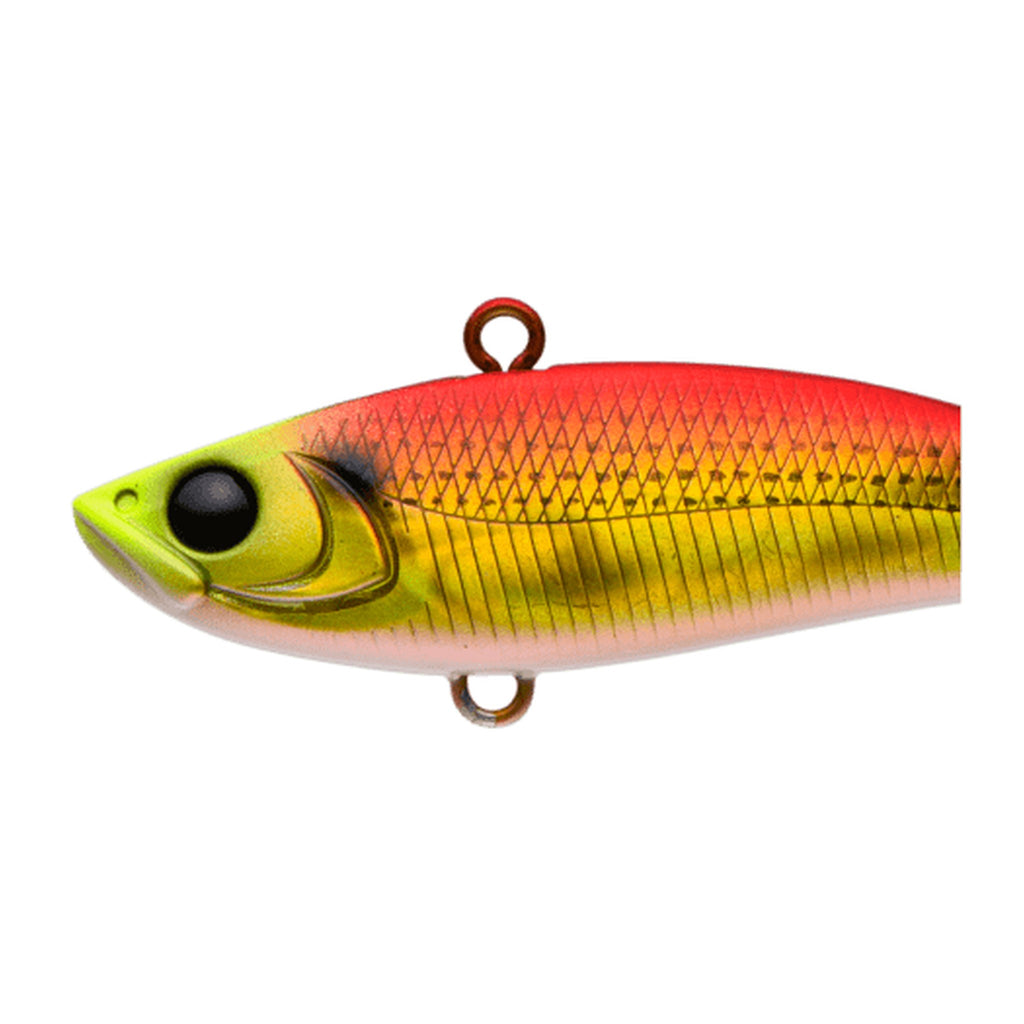 Apia Uprizing 59 — official Apia product photo