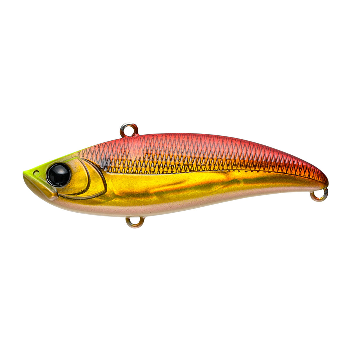 Apia Uprizing 70 in #1 Red Gold Konoshiro — official Apia product photo