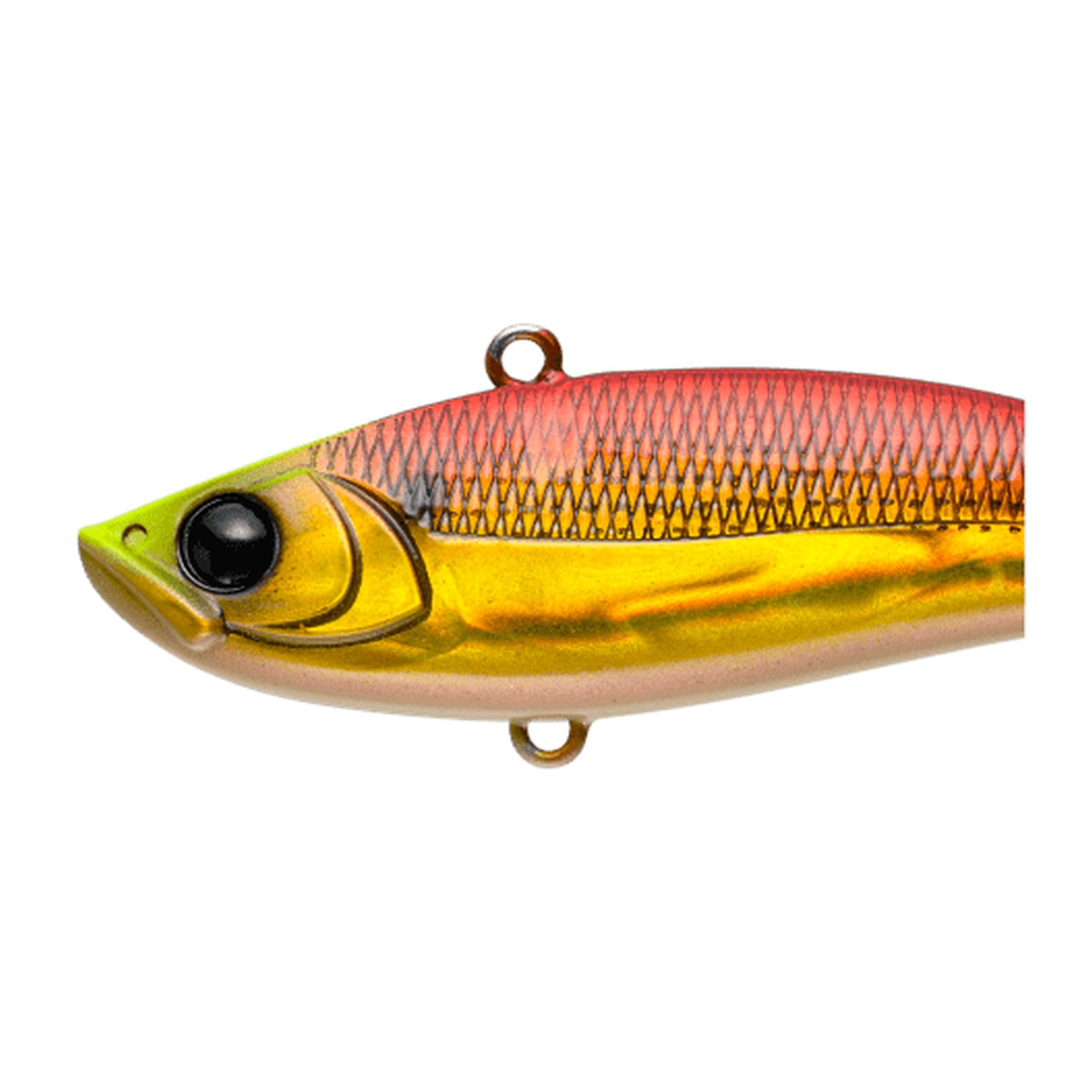 Apia Uprizing 70 — official Apia product photo