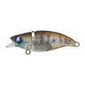 Baby Bait