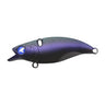 Mussel Black