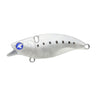 Silk Sardine