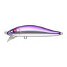 Japanese Anchovy