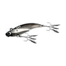 #08 Gizzard Shad (Konoshiro)