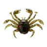 S165 Shore Crab