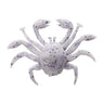 S475 White/Blue Seed