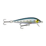 MIW - Sardine (Maiwashi)