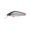 01 H-BKOR (Black Back Orange Belly)