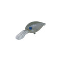 Daysprout ChatteCra BR in Shizuoka Green Tea — official Daysprout product photo