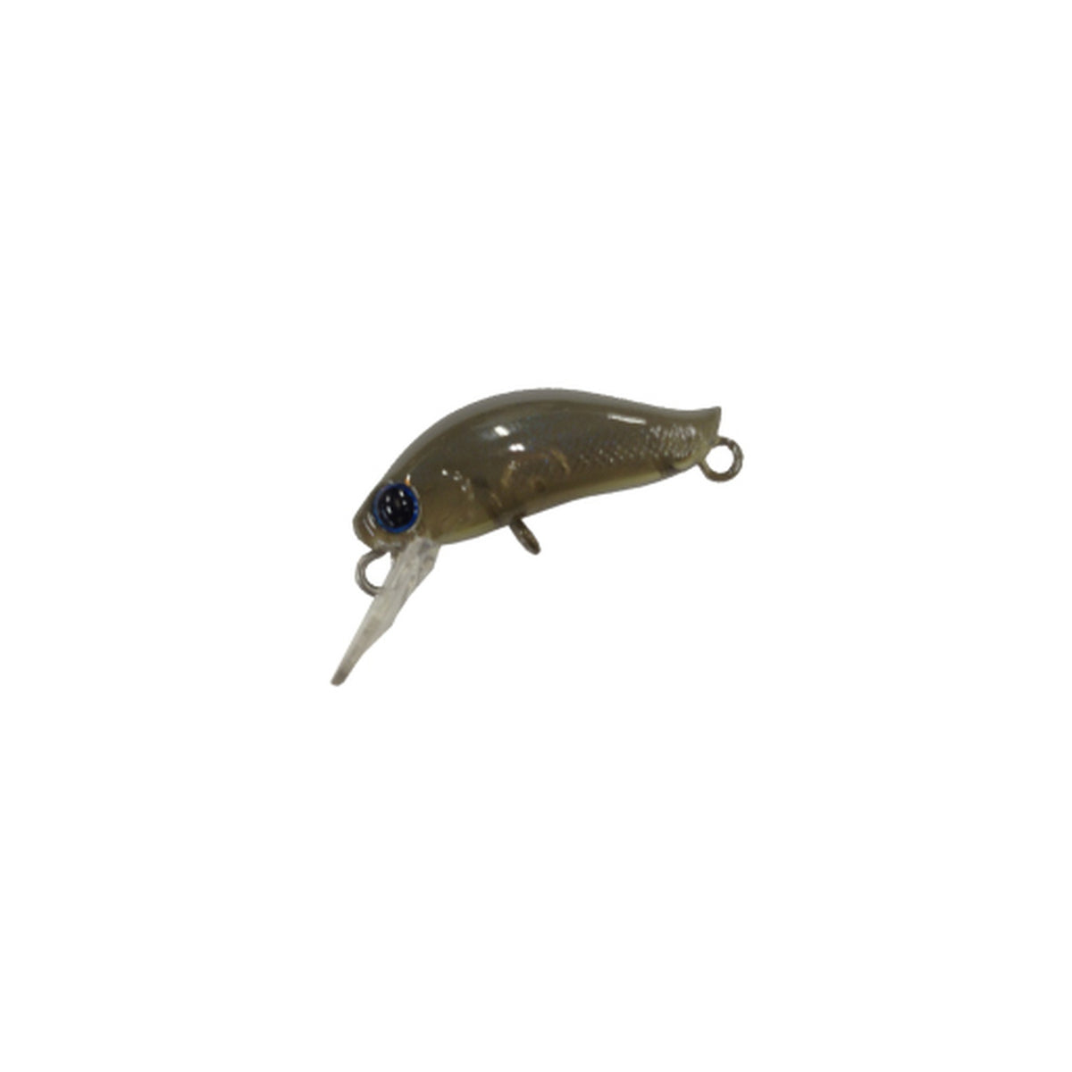 Daysprout Pico Eagleplayer F G2 in Shizuoka Green Tea — official Daysprout product photo