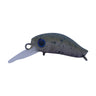 Tamajo Olive