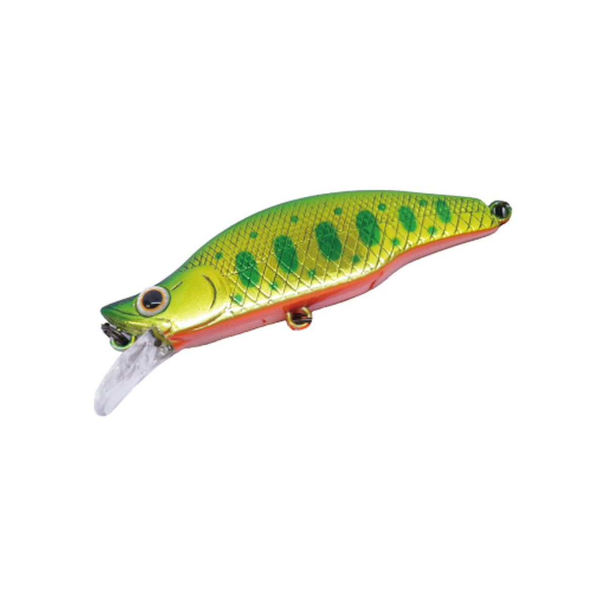 Daysprout Eagleplayer Rarkhamua 61S in Green Gold Yamame Orange Belly — official Daysprout product photo