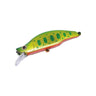 Green Gold Yamame Orange Belly