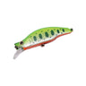 Chartreuse Yamame Orange Belly