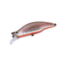 Baitfish Fry Orange Belly