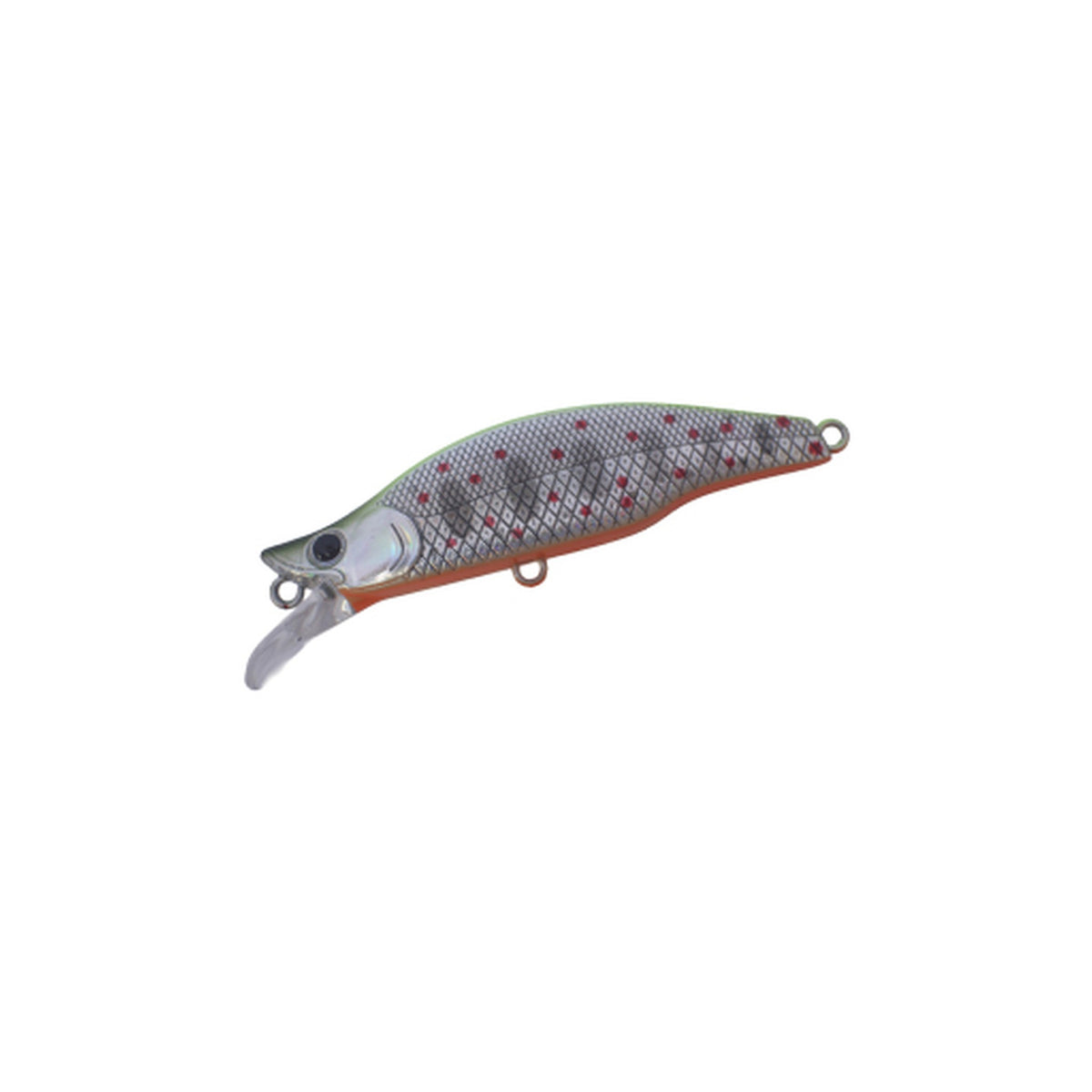 Daysprout Eagleplayer Rarkhamua 61S in Chartreuse Amago — official Daysprout product photo