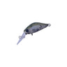 Tamajo Olive