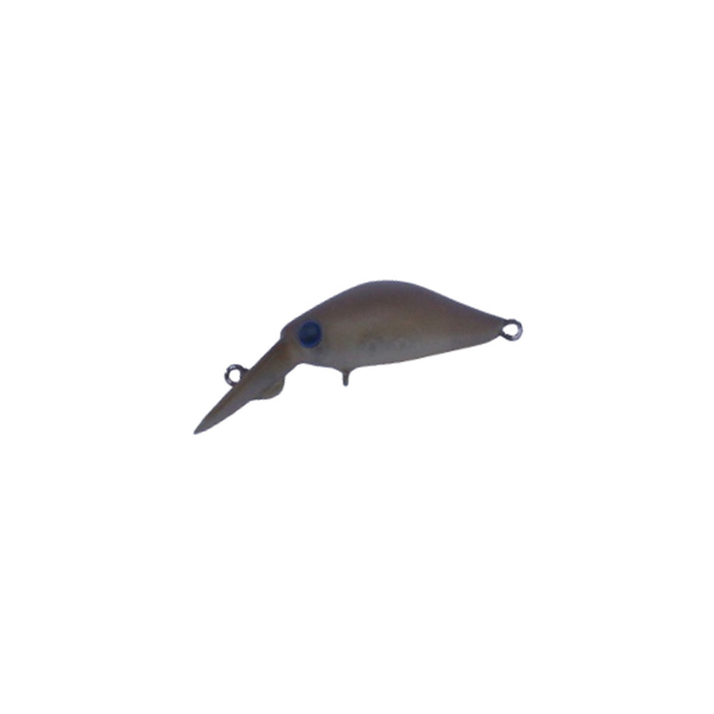 Daysprout Rita DR-F — official Daysprout product photo